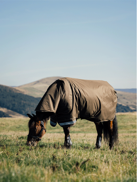 Arika Ripstop Turnout Rug 50g - Waterproof Horse Blanket for Winter - Alpine Design for Stable & Outdoor Riding