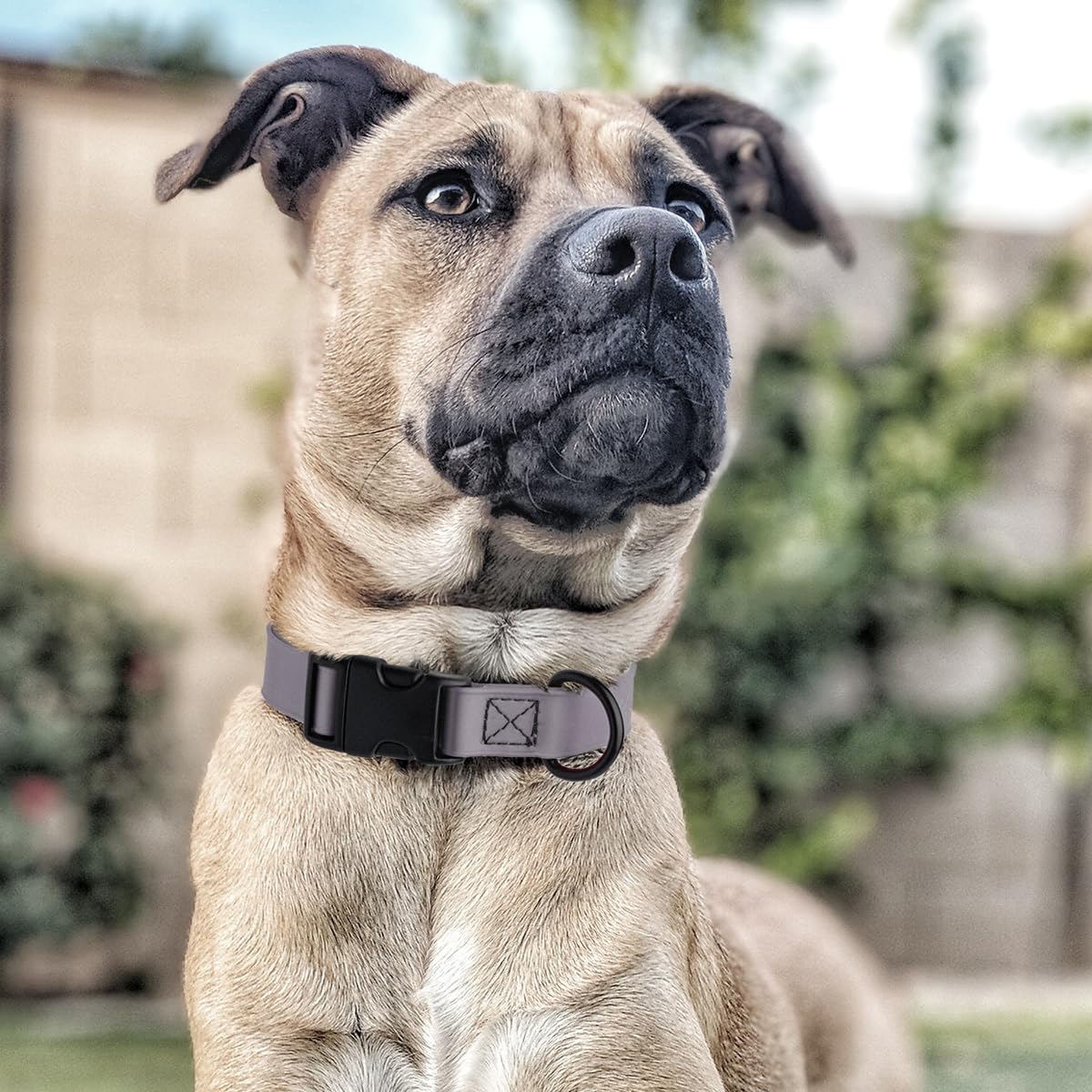 Waterproof Biothane Dog Collar with Quick Release Buckle - Odor-Proof & Easy to Clean - Strong Coated Nylon Webbing for Small Medium Large Dogs (Grey, 1