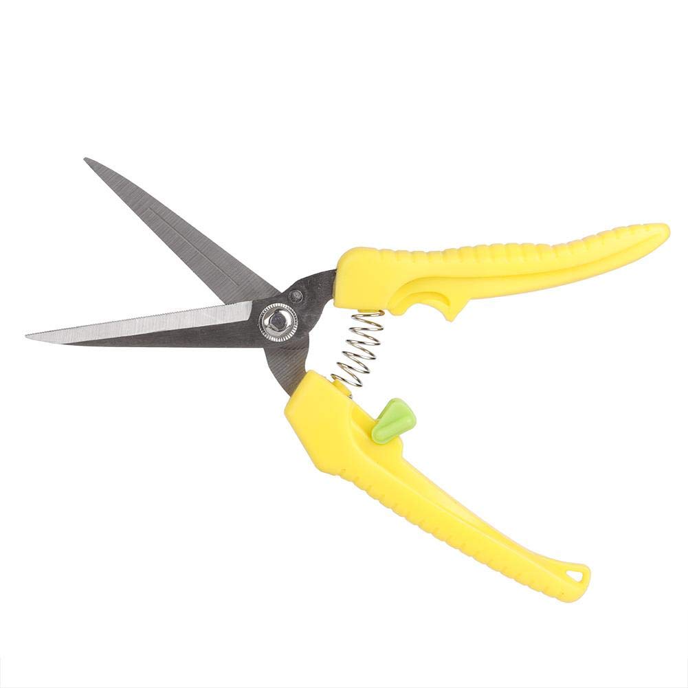 HURRISE Garden Pruning Scissors - Flower & Fruit Trimming Shears with Lock Buckle, Bonsai Plant Scissors for Gardening, Fruit Tree Trimming | Perfect for Home Gardeners, Bonsai Enthusiasts & Professional Landscapers