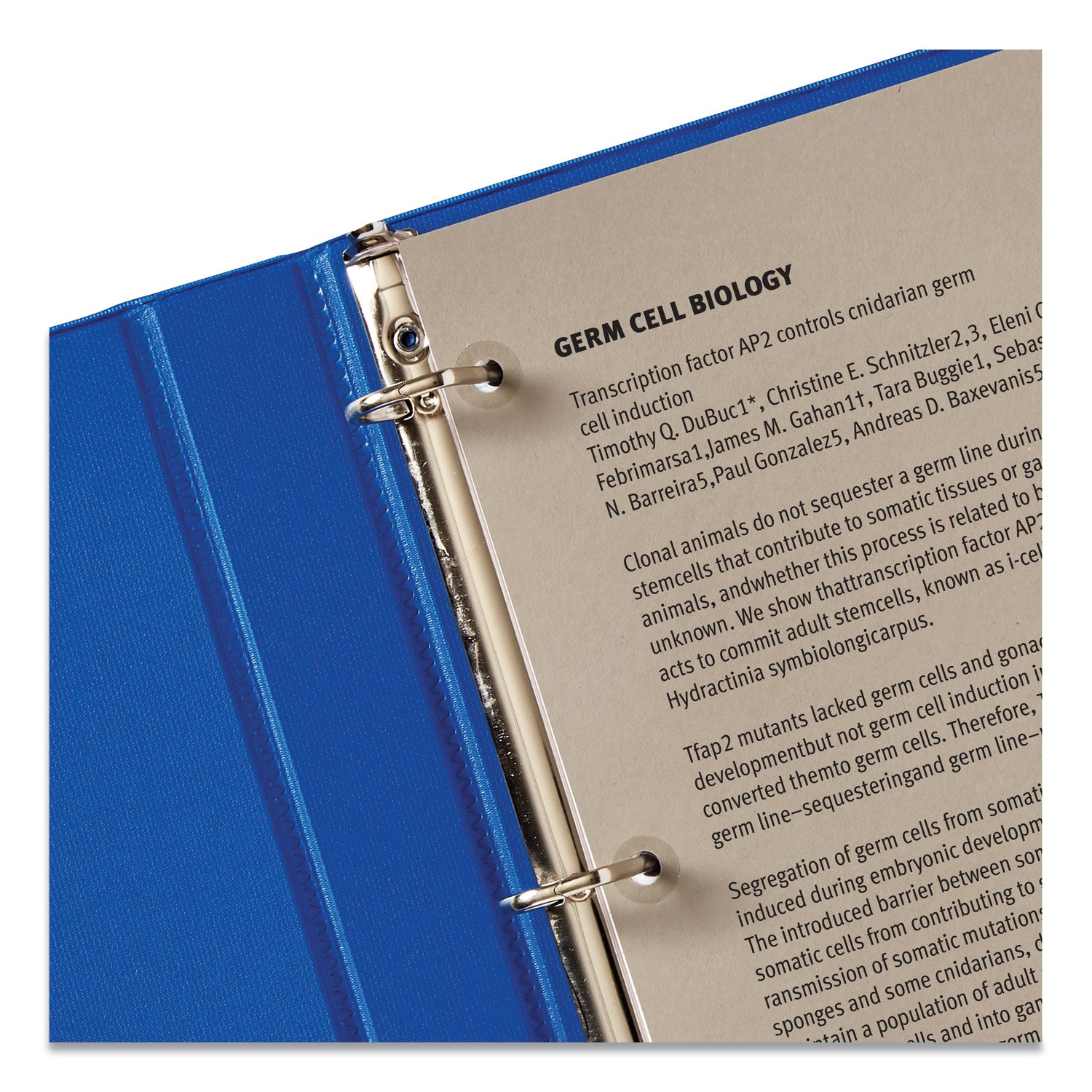 Avery® Clear Hole Reinforcements for Paper - 0.25 Inch Diameter, 200-Pack (5721) - Perfect for Organizing Documents, Binders & Filing Systems