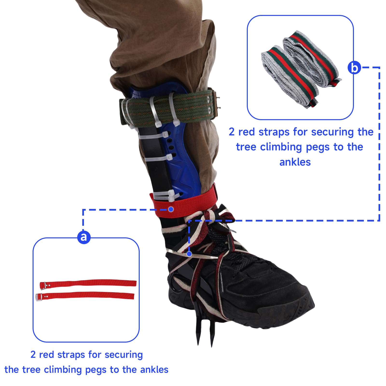 Tree Climbing Spikes Set - Adjustable Tree Climbing Gear with Steel Spikes & Comfortable Straps for Arborists, Loggers & Tree Trimming Professionals | Perfect for Tree Removal, Pruning & Maintenance Work