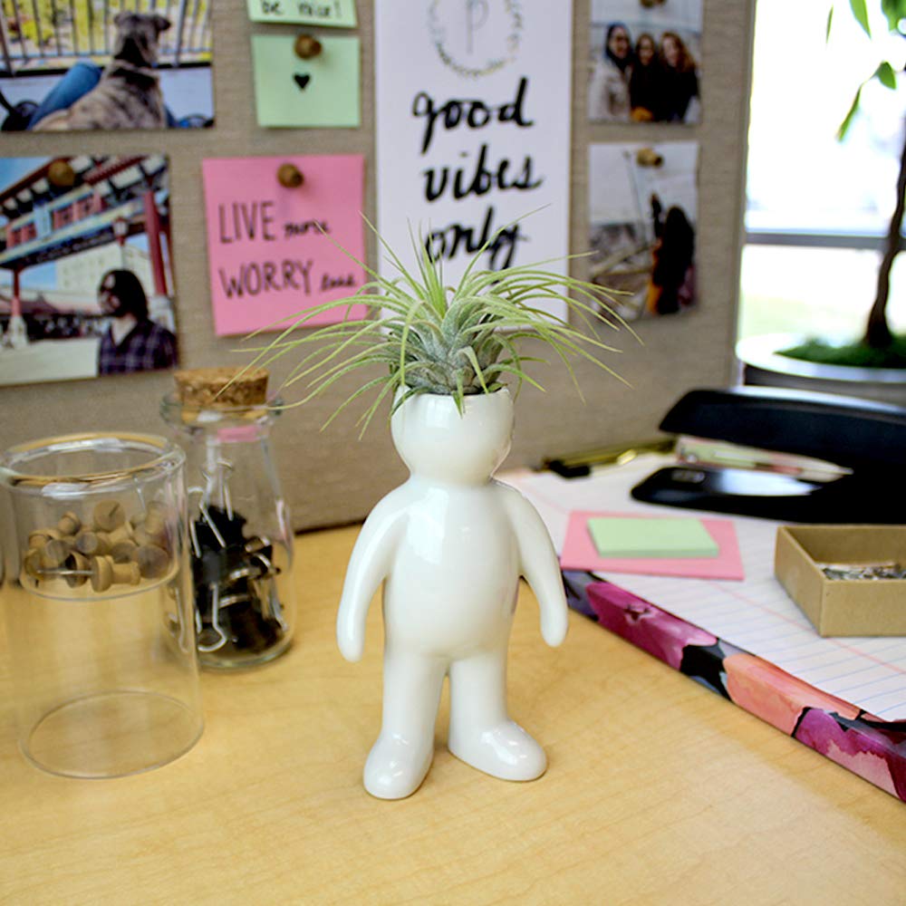 NW Wholesaler Ceramic Air Plant Holders - Family & People Shaped Planters for Tabletop Display - Perfect for Air Plants & Mini Succulents - Home Office Decor, Wedding Centerpieces, Gift Ideas