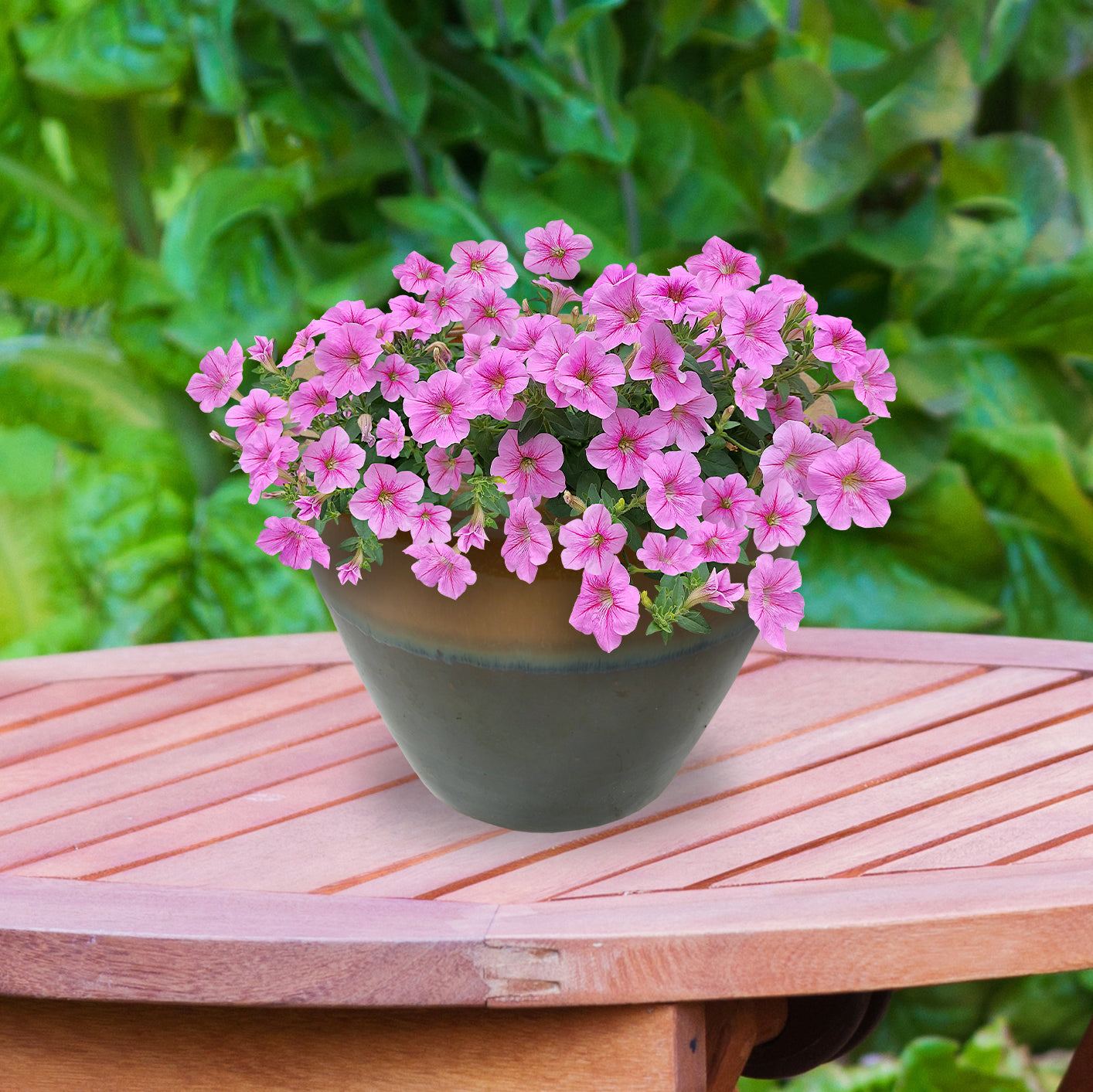 Sunnydaze Chalet Round Glazed Ceramic Planter with Drainage Hole - Outdoor Garden Flower Pot for Patio, Balcony & Home Decor