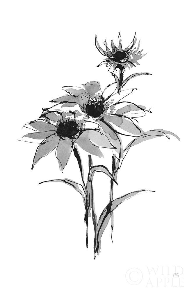 Chris Paschke Wash Echinacea I 12x18 Art Print Poster - Perfect for Home Decor, Office Wall Art & Gift Ideas