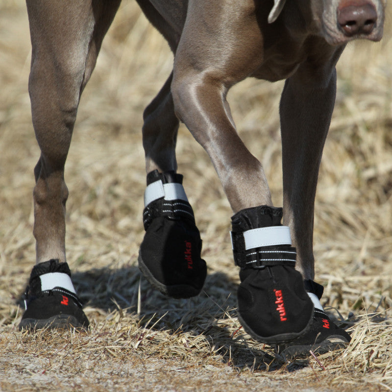 Rukka Pets Professional Dog Shoes - Non-Slip, Waterproof Dog Boots for All Weather Protection - Perfect for Hiking, Running & Outdoor Adventures