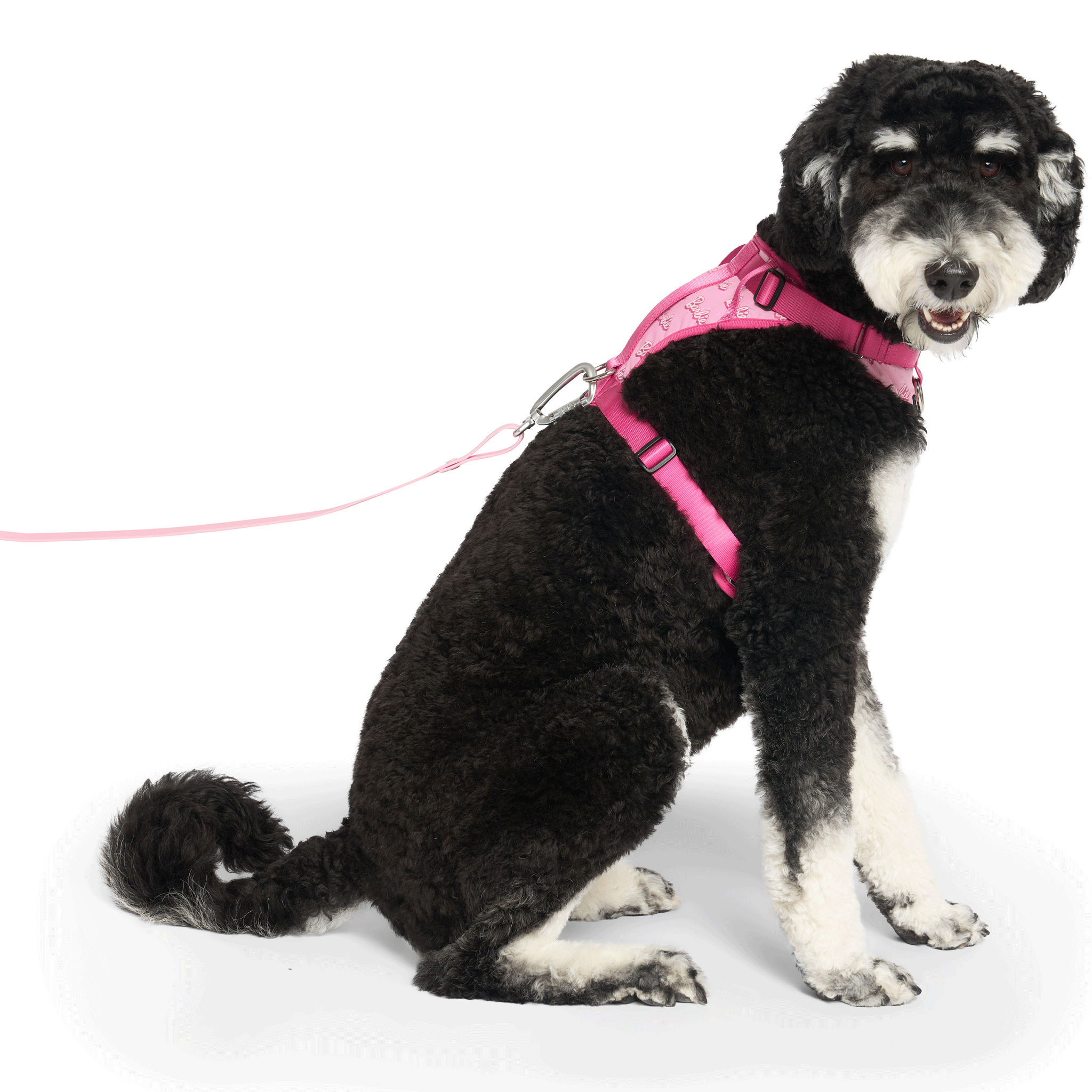 Barbie™ Everything Harness with Logo Print - Adjustable Pet Harness for Small Dogs & Cats - Perfect for Walking, Training & Outdoor Adventures