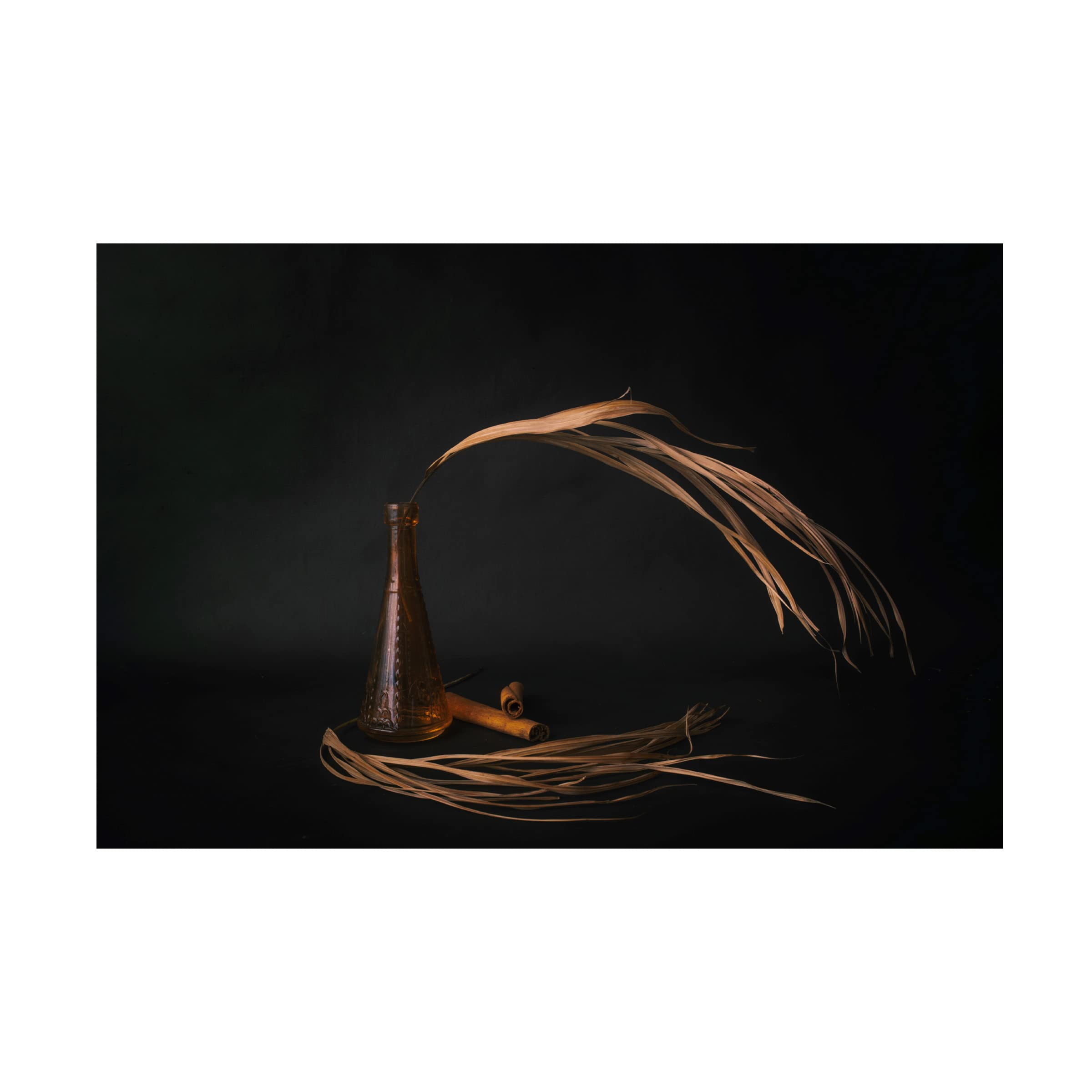 Trademark Fine Art 'Swaying In The Wind' Canvas Wall Art Print by Cicek Kiral - Modern Home Decor for Living Room, Bedroom & Office