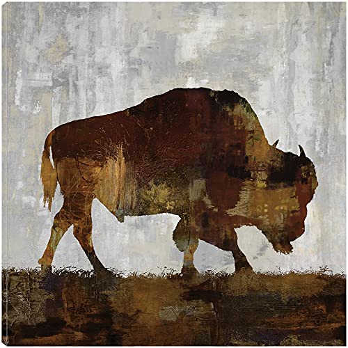 Bison