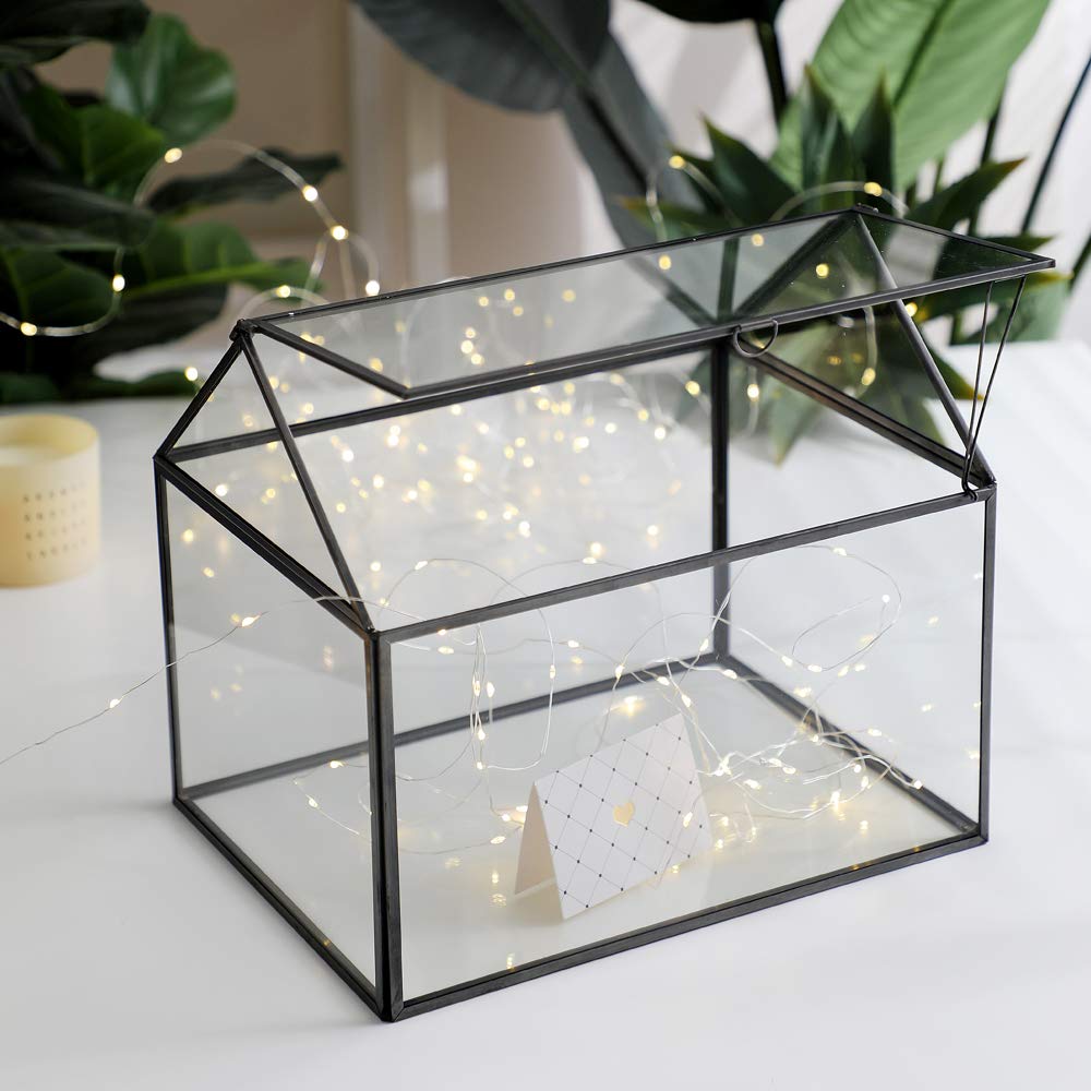 Large Geometric Glass Terrarium - 12x9x10 Inch Black Tabletop Planter with Swing Lid for Succulents, Moss & Ferns | Modern Home Decor, Office Display & Gift Idea | No Plants Included