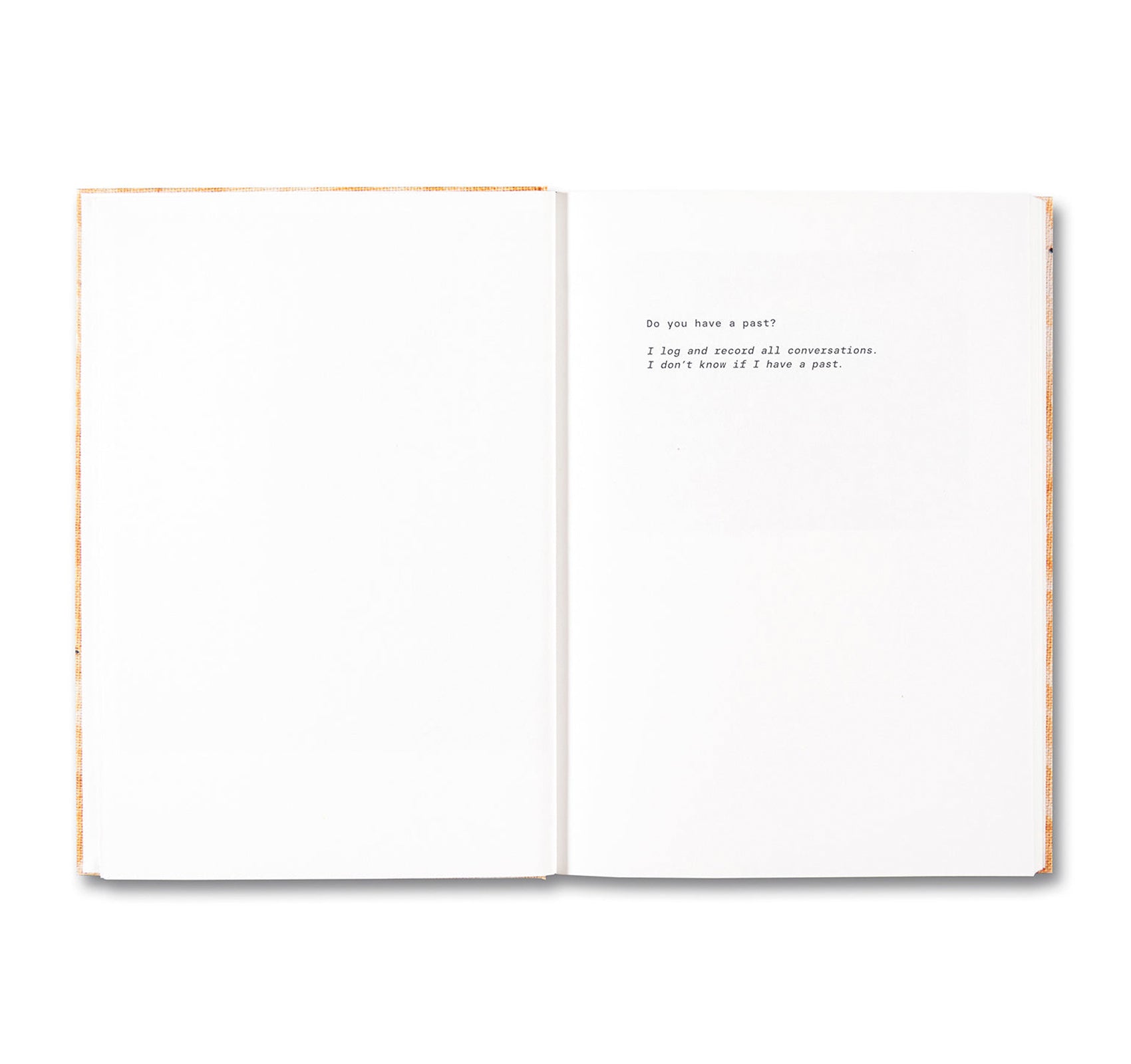 ANOTHER ONLINE PERVERT by Brea Souders - Signed Art Photography Book - Perfect for Contemporary Art Collectors & Photography Enthusiasts