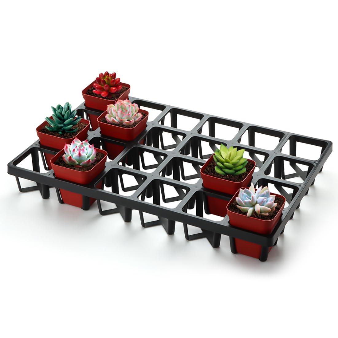 5 Pack Square Nursery Pot Trays - 24 Cells Each (120 Total) | Durable Plastic Plant Trays for Flower Pots | Seed Starting & Transplanting | Perfect for Indoor Gardening, Greenhouses & Plant Nurseries