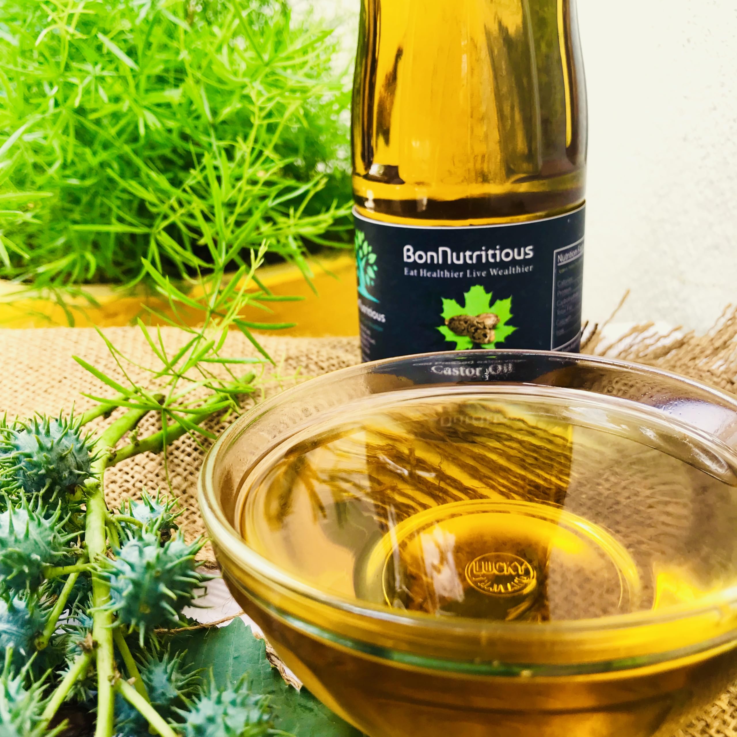 Bonnutritious Cold-Pressed Extra Virgin Castor Oil for Hair Growth & Skin Care - 100% Pure Natural Vilakennai Oil - 500mL - Perfect for DIY Beauty Treatments, Eyelash Growth & Massage Therapy