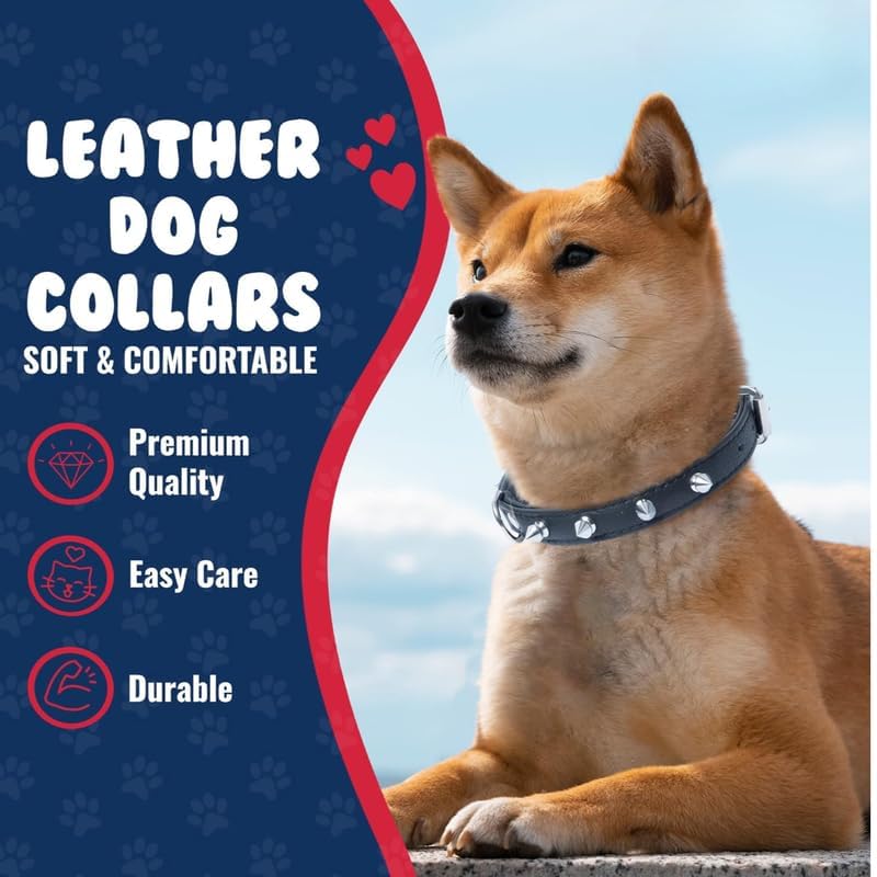 Spiked Dog Collar with Mushroom Rivets - Adjustable Soft PU Leather Studded Pet Collar for Small Dogs, Puppies & Cats - Black Punk Style for Daily Walks, Training & Fashion Accessories