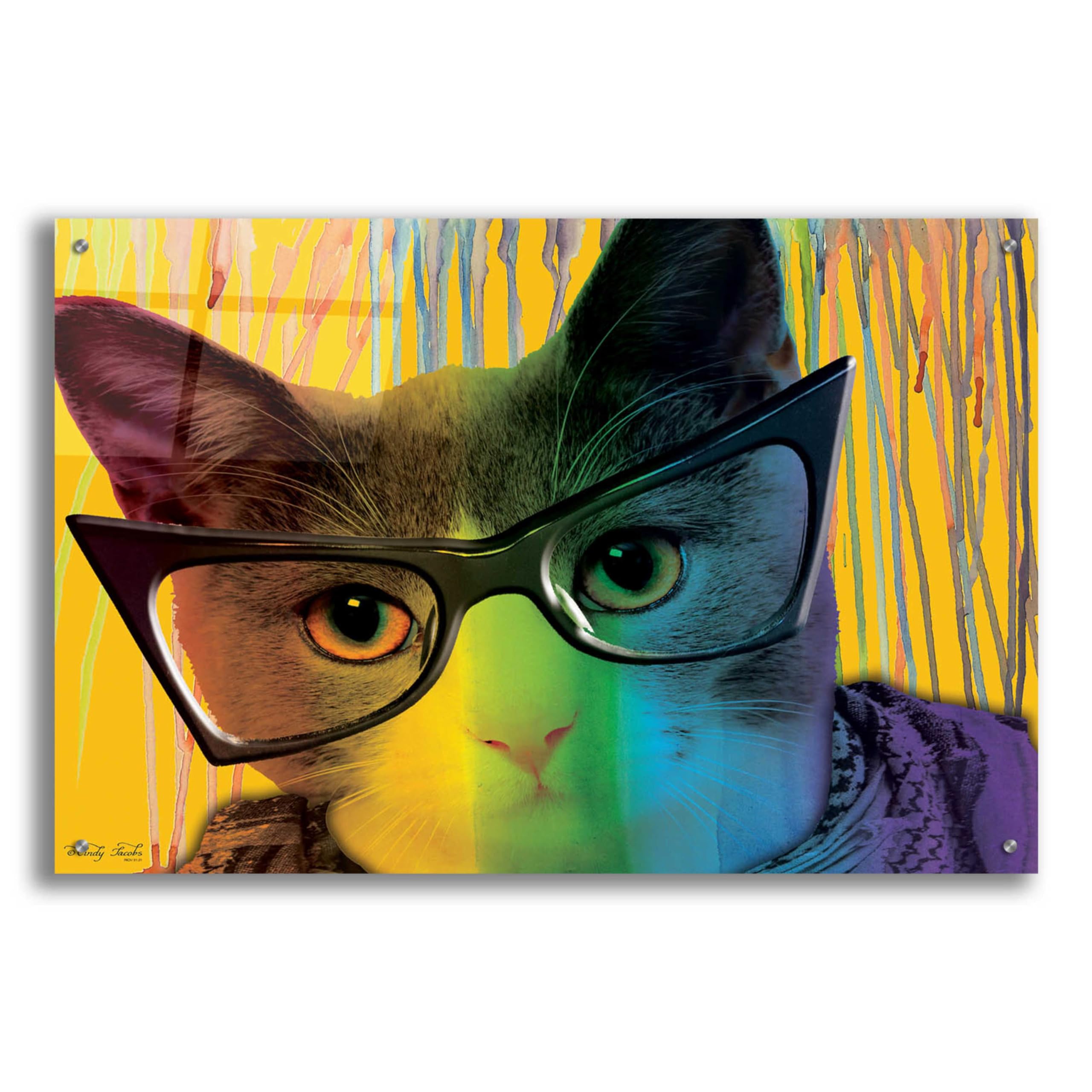 Epic 'Cat in Glasses' Acrylic Wall Art by Cindy Jacobs - 36x24 Inch Modern Home Decor - Perfect for Living Room, Bedroom & Office