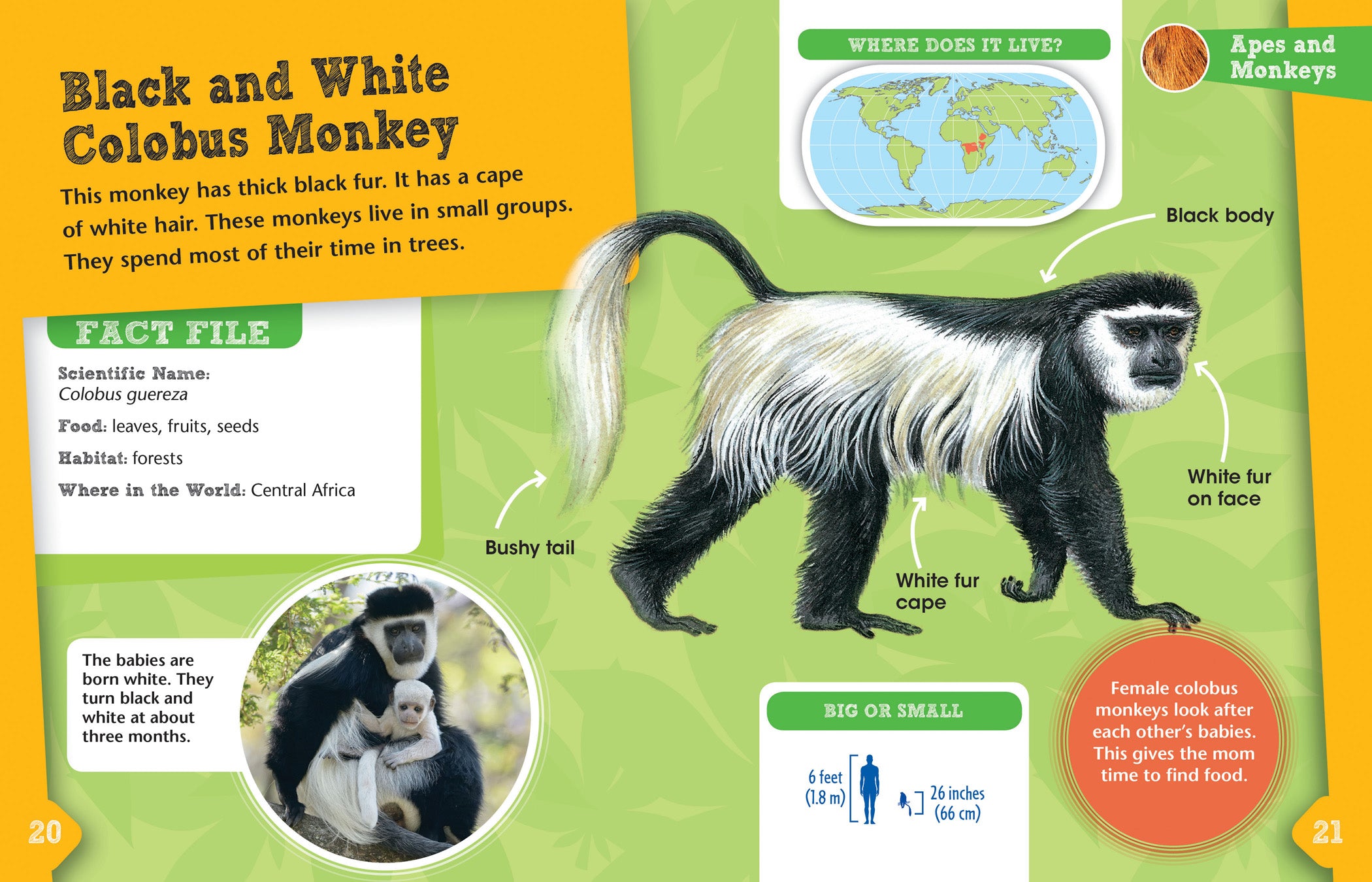 Funny Apes and Monkeys Animal Detective Toys - Perfect for Kids' Pretend Play and Educational Role-Playing Games
