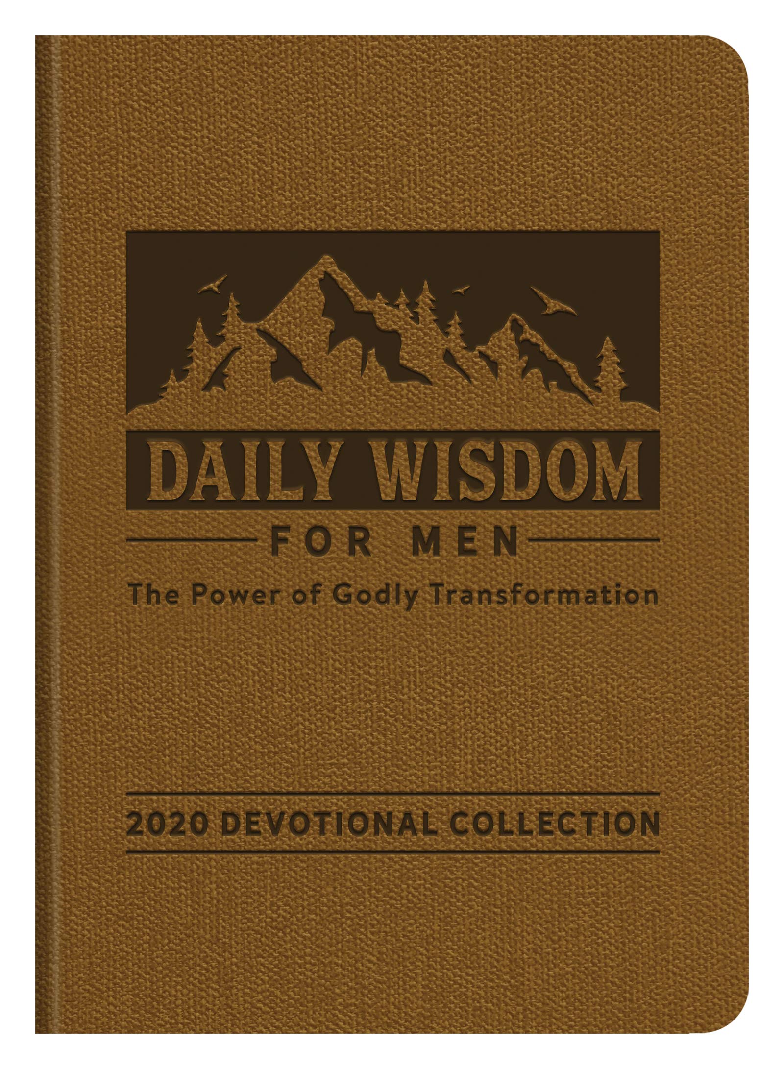 Daily Wisdom for Men 2020 Devotional Collection: Christian Spiritual Growth & Godly Transformation - Perfect for Morning Prayer, Bible Study & Men's Group Discussions