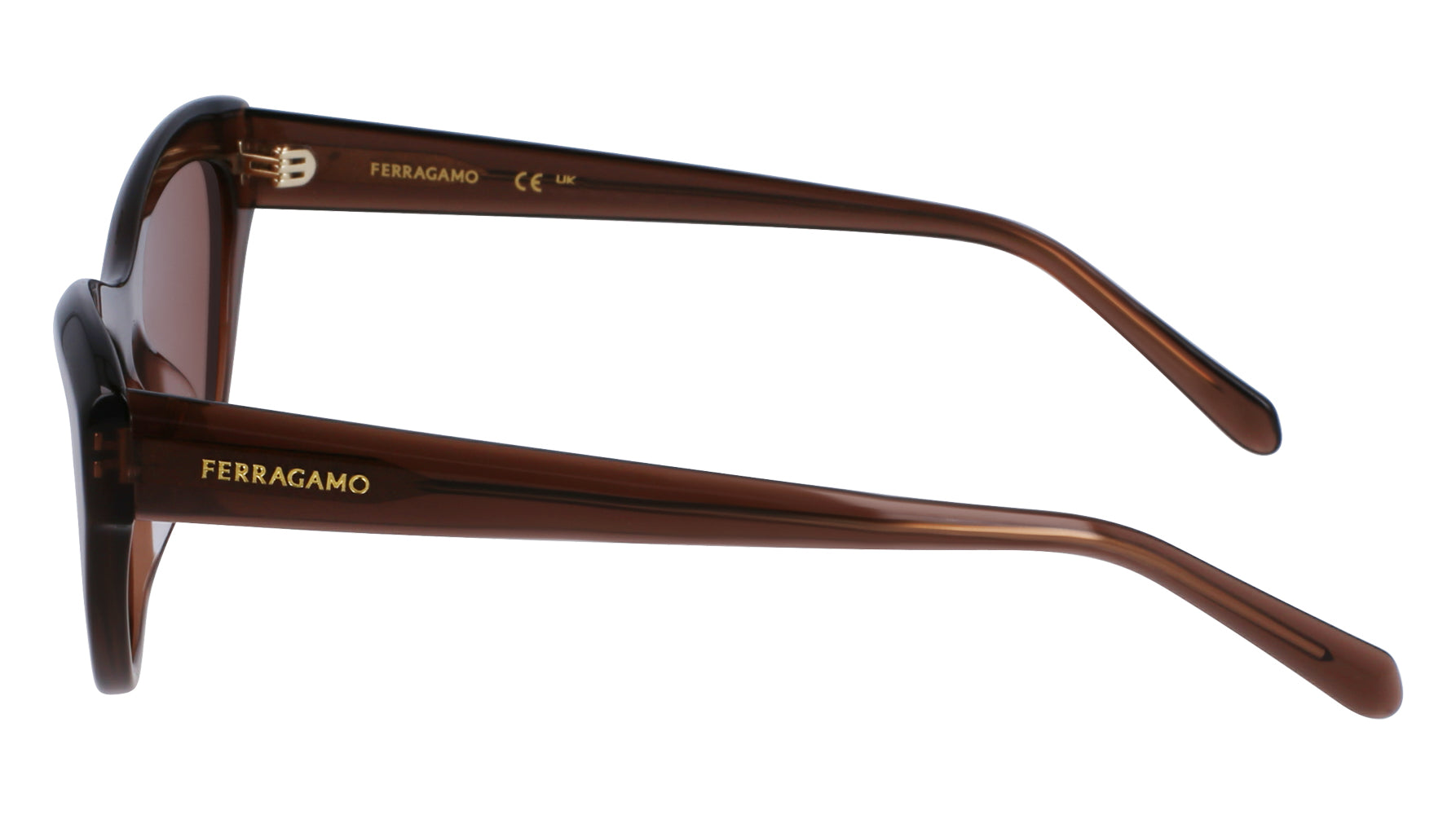 Ferragamo SF1103S Sunglasses for Women - Luxury Designer Shades with UV Protection - Perfect for Outdoor Activities, Travel, and Fashion Accessories