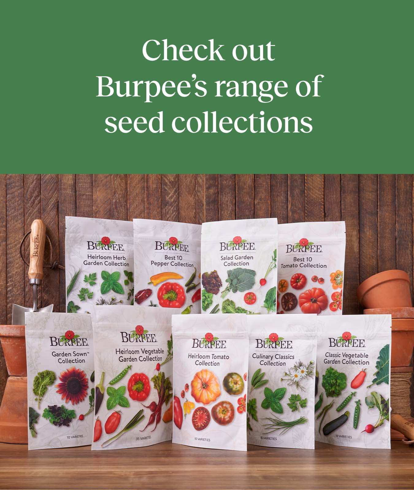 Non-GMO Heirloom Tomato Seeds - 10 Packets for Planting | Burpee Favorites | Organic Garden Gifts for Home Gardening, Backyard Farming & Sustainable Living