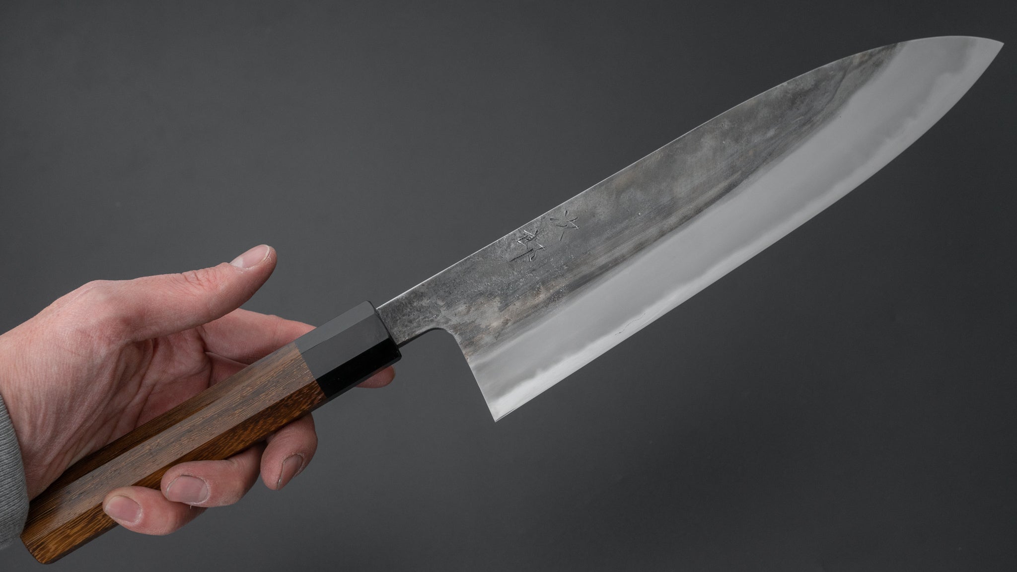 Premium Jiro Tsuchime Wa Gyuto 240mm Japanese Chef Knife with Taihei Tagayasan Handle (#432) - Perfect for Sushi, Meat Cutting & Professional Kitchen Use