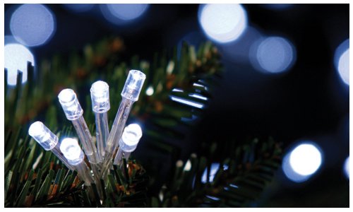 Snow White Battery Operated 20 LED String Lights - White Fairy Lights for Bedroom Decor, Wedding, Party, Christmas Tree