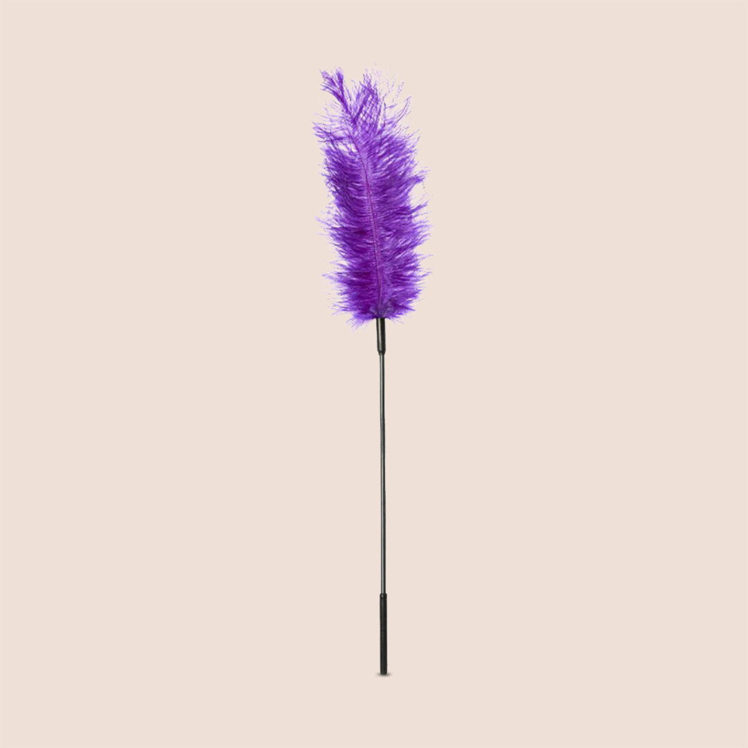Ostrich Tickler Adult Toy - Fun & Playful Feather Tickler with Sexy Game Guide for Couples & Parties | Enhance Intimacy & Spice Up Your Love Life