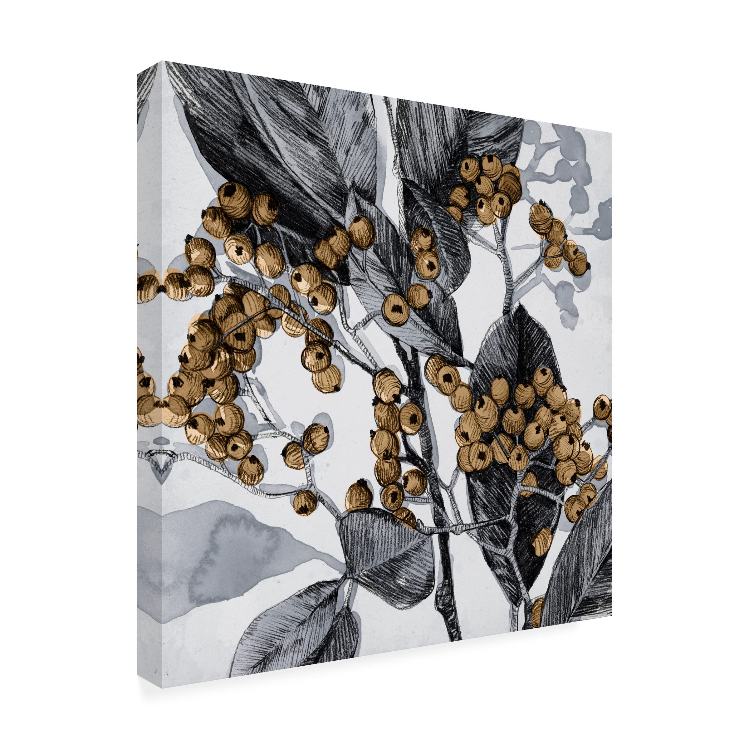 Emma Caroline 'Holly Shadow II' Canvas Wall Art - 35x35 Inches, Modern Abstract Painting for Living Room, Bedroom & Office Decor | Trademark Fine Art