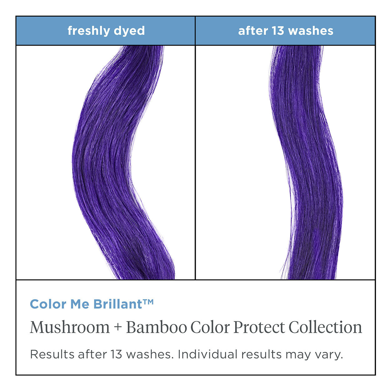 Color Me Brilliant Mushroom & Bamboo Hair Dye with Heat Protectant Primer - Vegan Hair Color for Brunettes & Blondes | At-Home Salon Treatment & Styling Protection