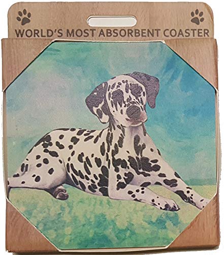 E&S Imports Ceramic Coaster Set - Dalmatian Dog Design, Absorbent & Durable Drink Coasters for Coffee Table, Home & Office Decor - Perfect for Parties, Dining & Gift Giving