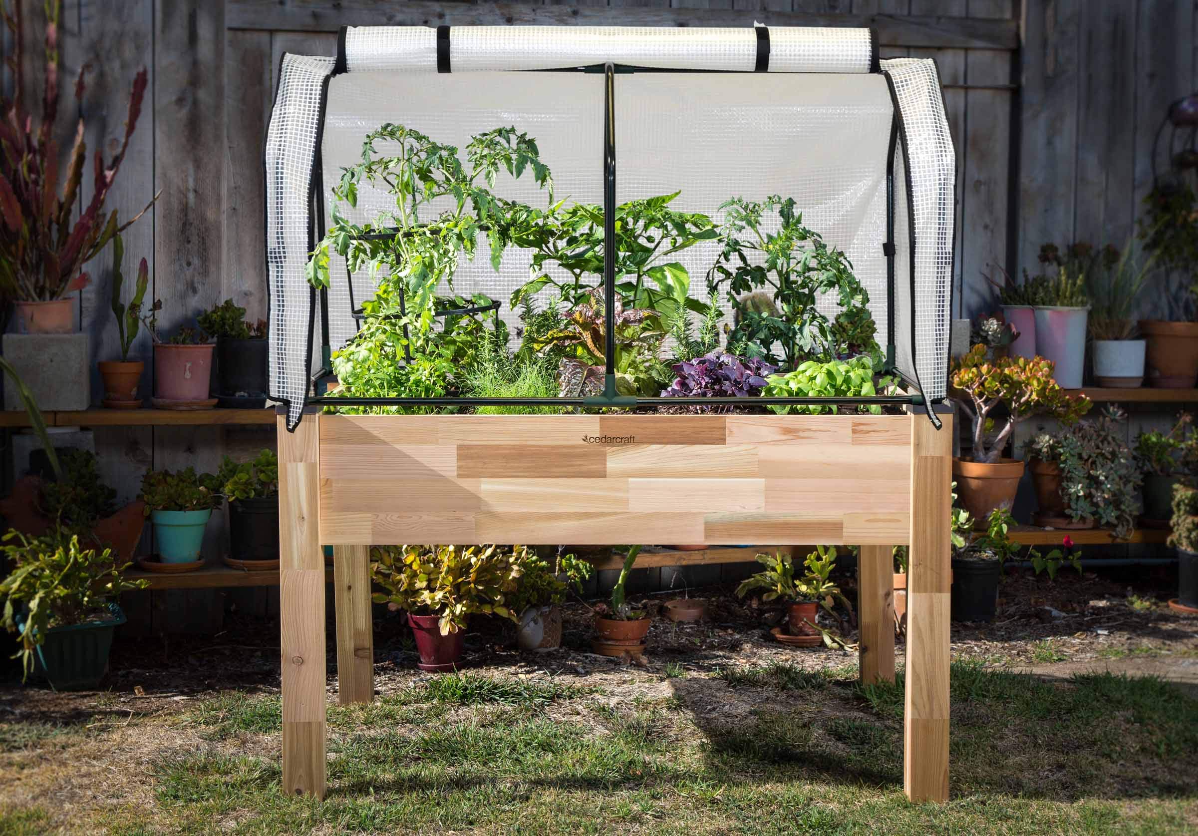 **Self-Watering Elevated Cedar Planter Box - 23” x 49” x 30” Raised Garden Kit with Greenhouse Cover for Tomatoes, Vegetables & Herbs - Perfect for Patio, Balcony & Backyard Gardening**
