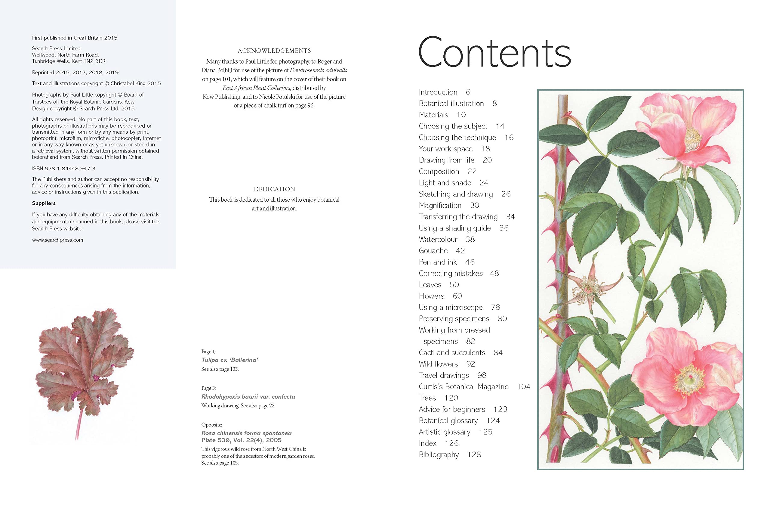 The Kew Book of Botanical Illustration: A Guide to Drawing and Painting Plants - Perfect for Artists, Gardeners, and Nature Enthusiasts