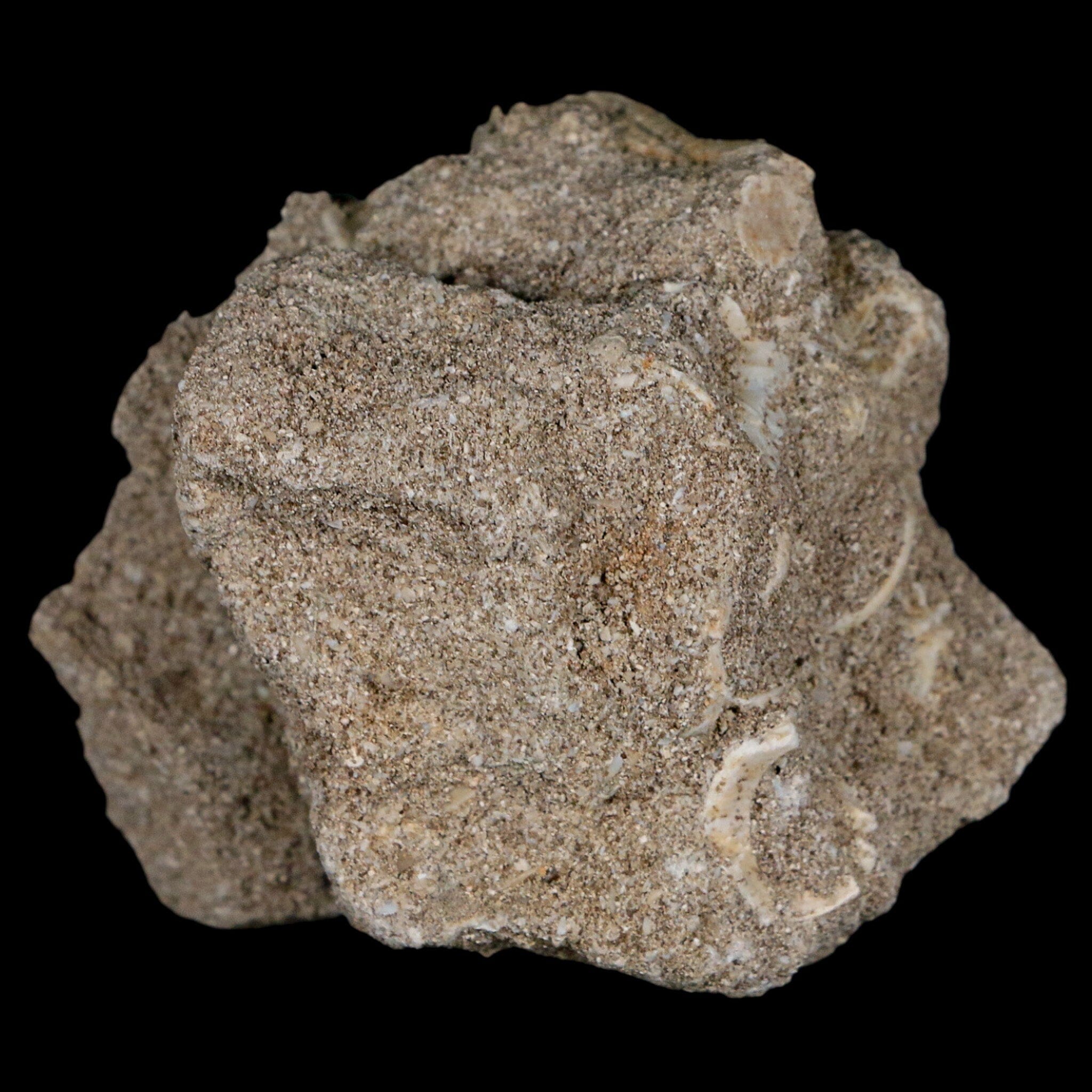 1.5