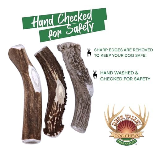 Premium Deer Antler Dog Chews (Large 3 Pack, 6-7 Inches) - Natural, Long-Lasting Dog Chew Toy for Medium to Large Breeds - Ethically-Sourced & Irresistible - Perfect for Teething, Dental Health & Aggressive Chewers