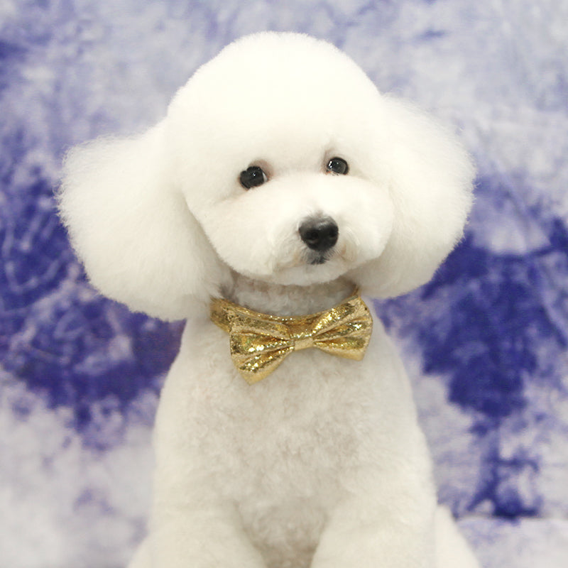 Golden Bowknot Pet Collar A017 - Adjustable Dog Cat Collar with Rhinestone Decor for Small Medium Pets - Perfect for Daily Walks, Grooming & Special Occasions
