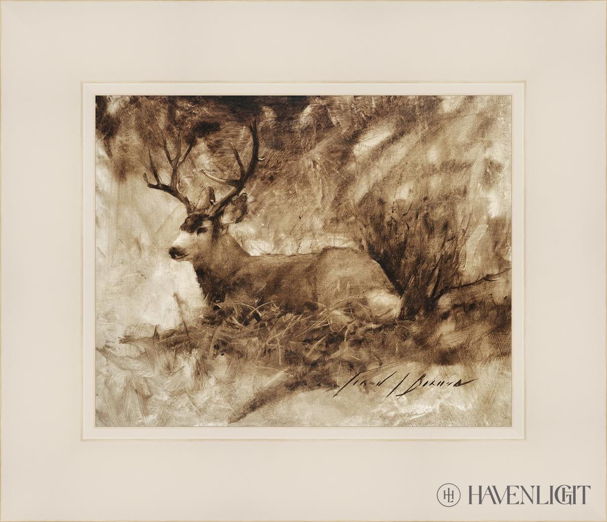 Bedded Buck By Jared Barnes - Premium Hunting & Outdoor Gear for Camping, Hiking & Adventure Enthusiasts