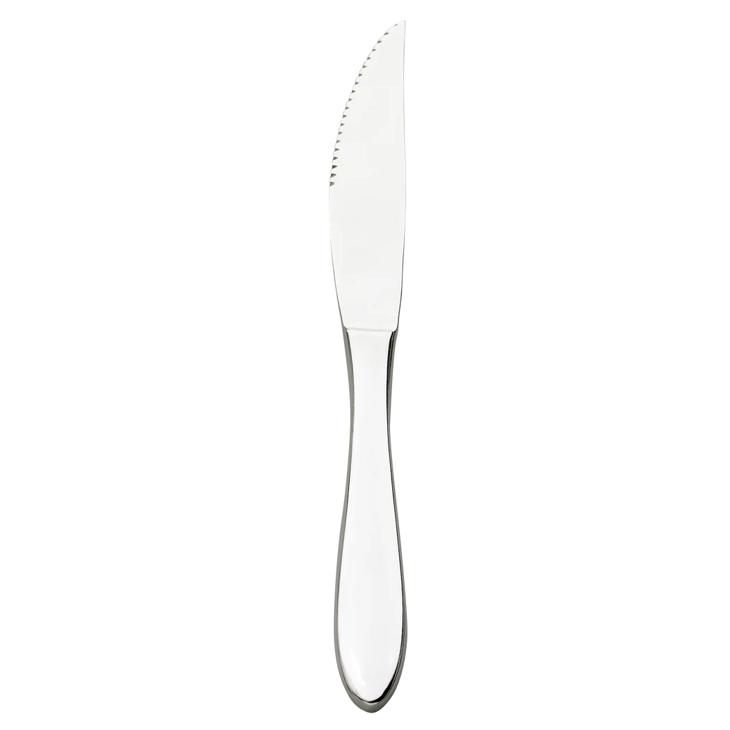 Browne Eclipse 9.3 Inch Premium Steak Knife Set with Pointed Tip - Sharp Stainless Steel Blades for Steak, Meat Cutting & Fine Dining - Perfect for Home Kitchens, Restaurants & BBQ Parties