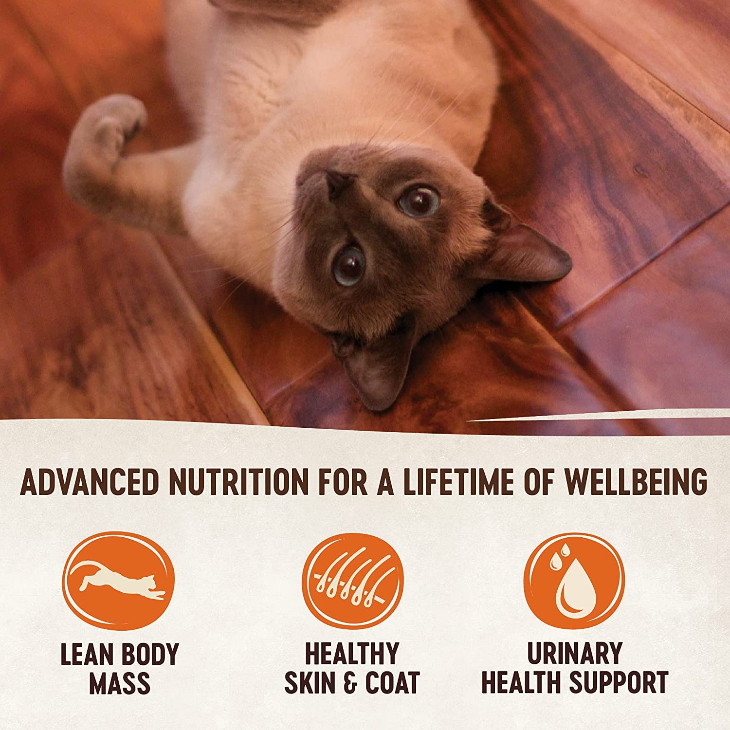 Premium Grain-Free Canned Cat Wet Food Pate - 12 Pack Variety Bundle (Chicken, Duck & Turkey, Salmon, Chicken & Turkey) - Natural Wellness Recipe for Cats - Includes Free Pet Food Bowl (3 Oz) - Perfect for Indoor Cats, Senior Cats & Picky Eaters