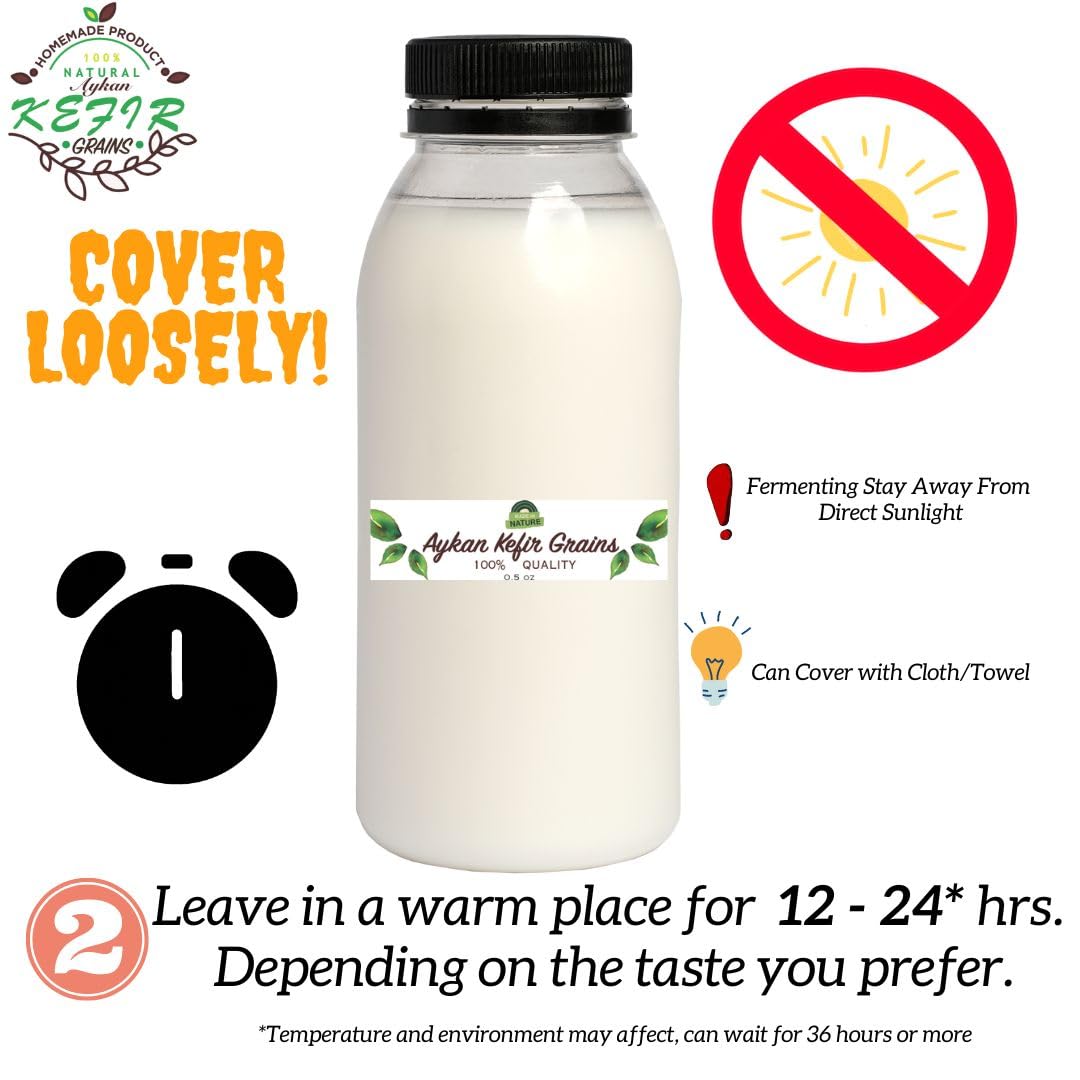 1 TBSP Fresh Milk Kefir Grains - Live Probiotic Starter Culture for Homemade Yogurt & Fermented Drinks - Includes Complete Starter Kit for Gut Health & Digestion - Perfect for Smoothies, Baking & Healthy Breakfasts