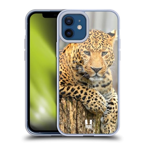 Leopard Portrait