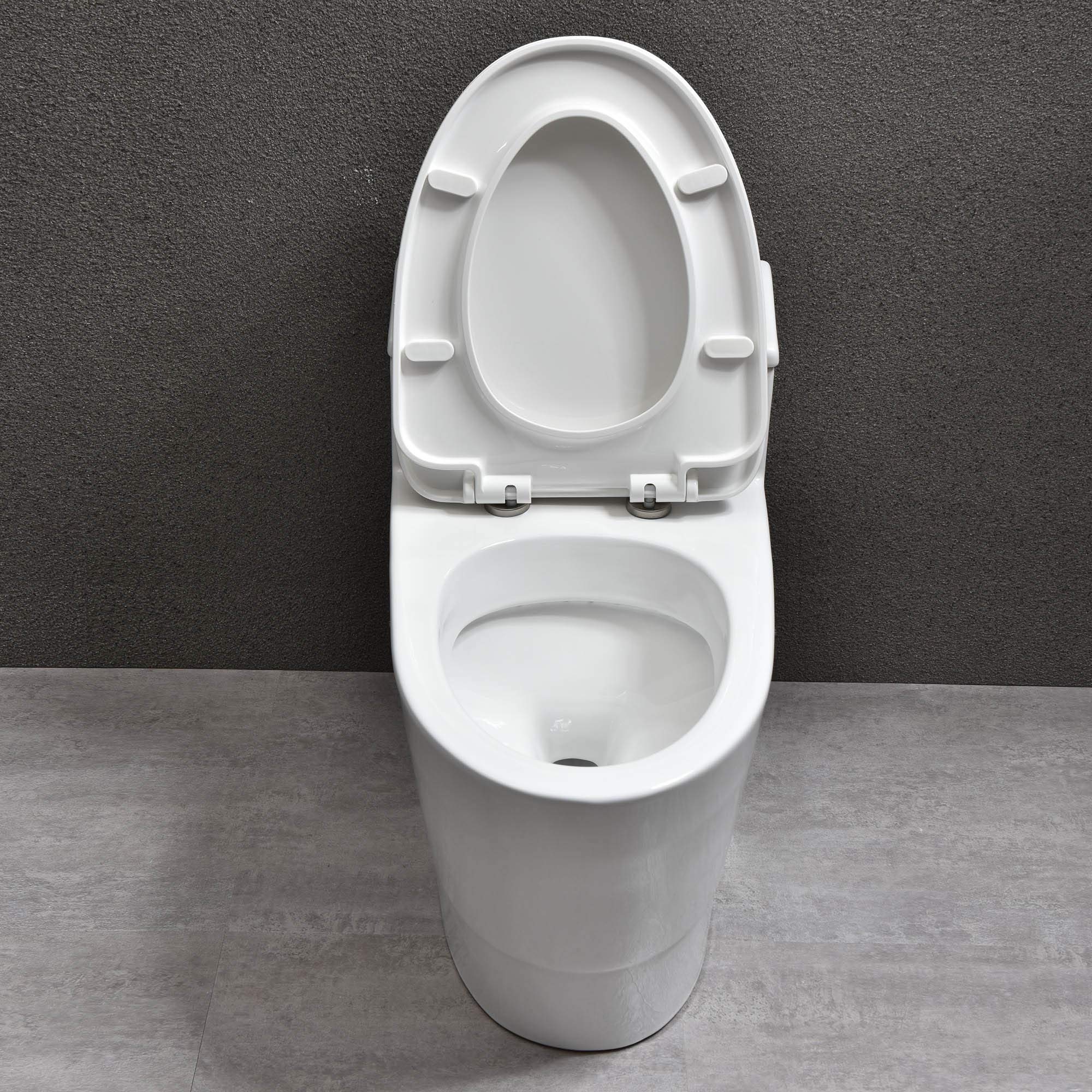 WOODBRIDGE Modern Elongated One-Piece Toilet - Dual Flush 1.0/1.6 GPF, Soft-Close Seat, White (Model B0735/T-0018) - Perfect for Contemporary Bathrooms & Water-Efficient Homes