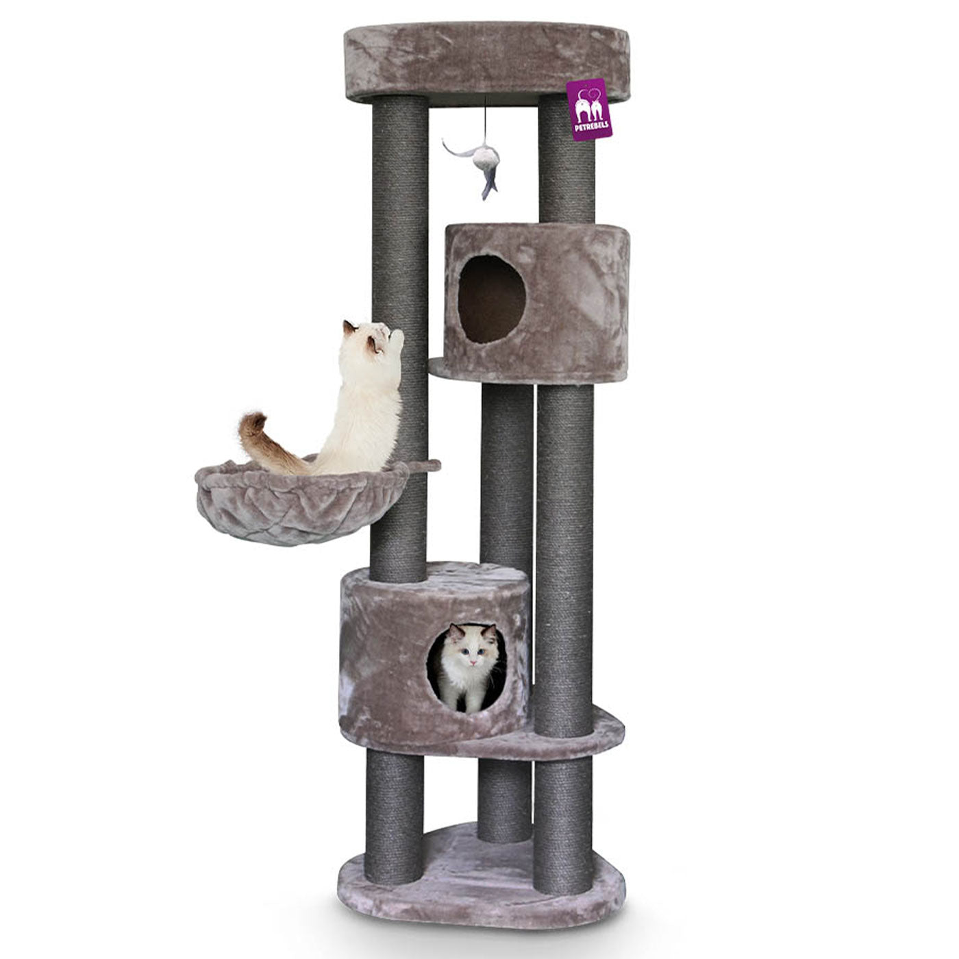 Premium 180cm Cat Tree for Large Cats - Kings & Queens Charlotte Cat Tower with Scratching Posts, Perches & Condo - Perfect for Indoor Play & Climbing for Your Feline Friend
