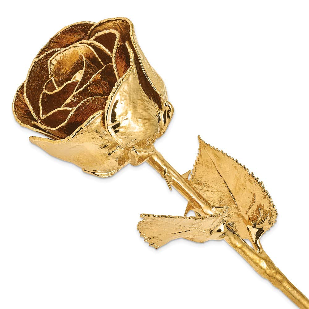 24K Gold Dipped Rose - Real Preserved Flower for Anniversary, Wedding & Valentine's Day Gifts - Luxury Home Decor & Romantic Gift Idea