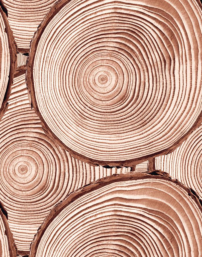 Nathan Turner Faux Bois Wallpaper - Mahogany Wood Grain Peel & Stick Wallpaper for Living Room, Bedroom, and Office Decor