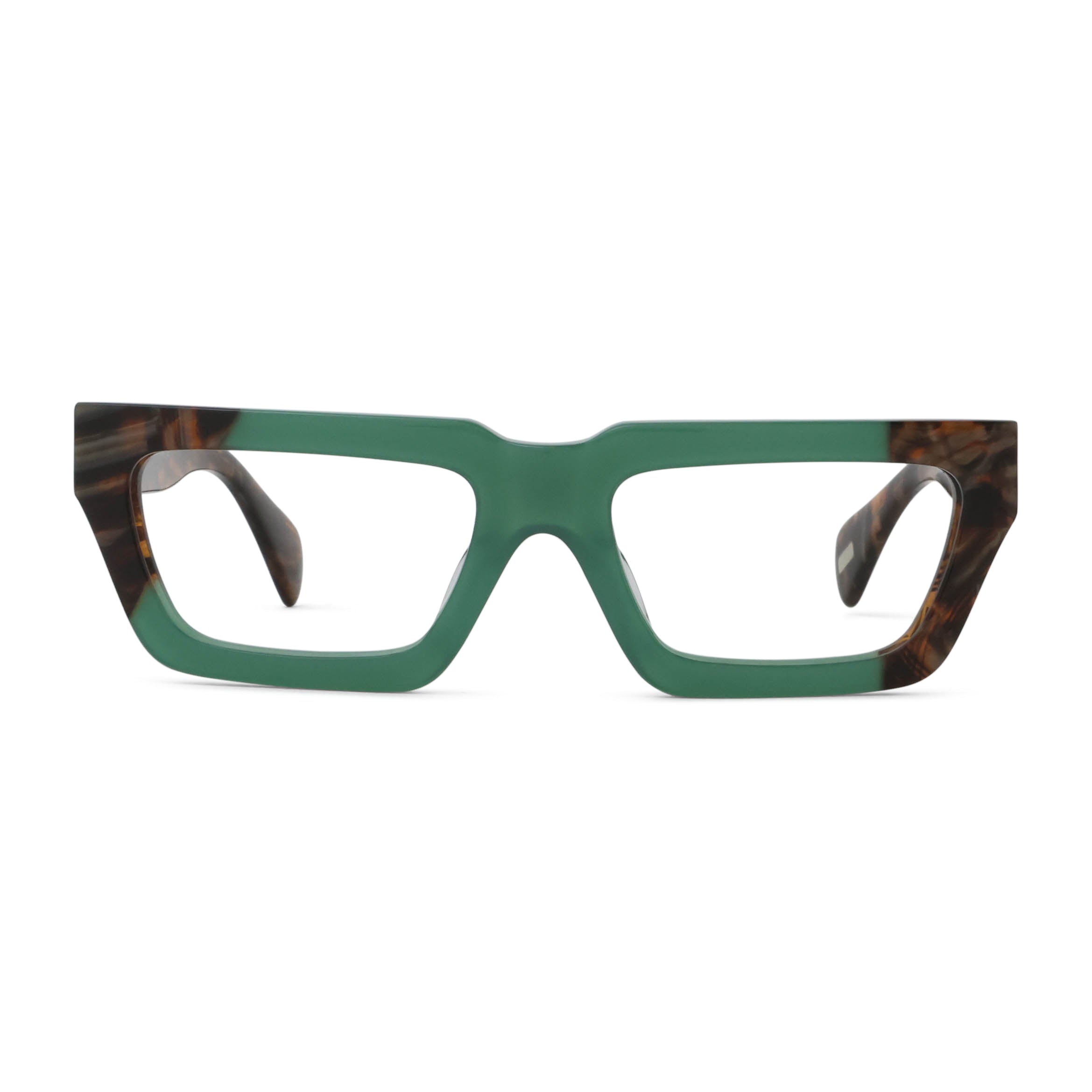 Tortoise/Blue