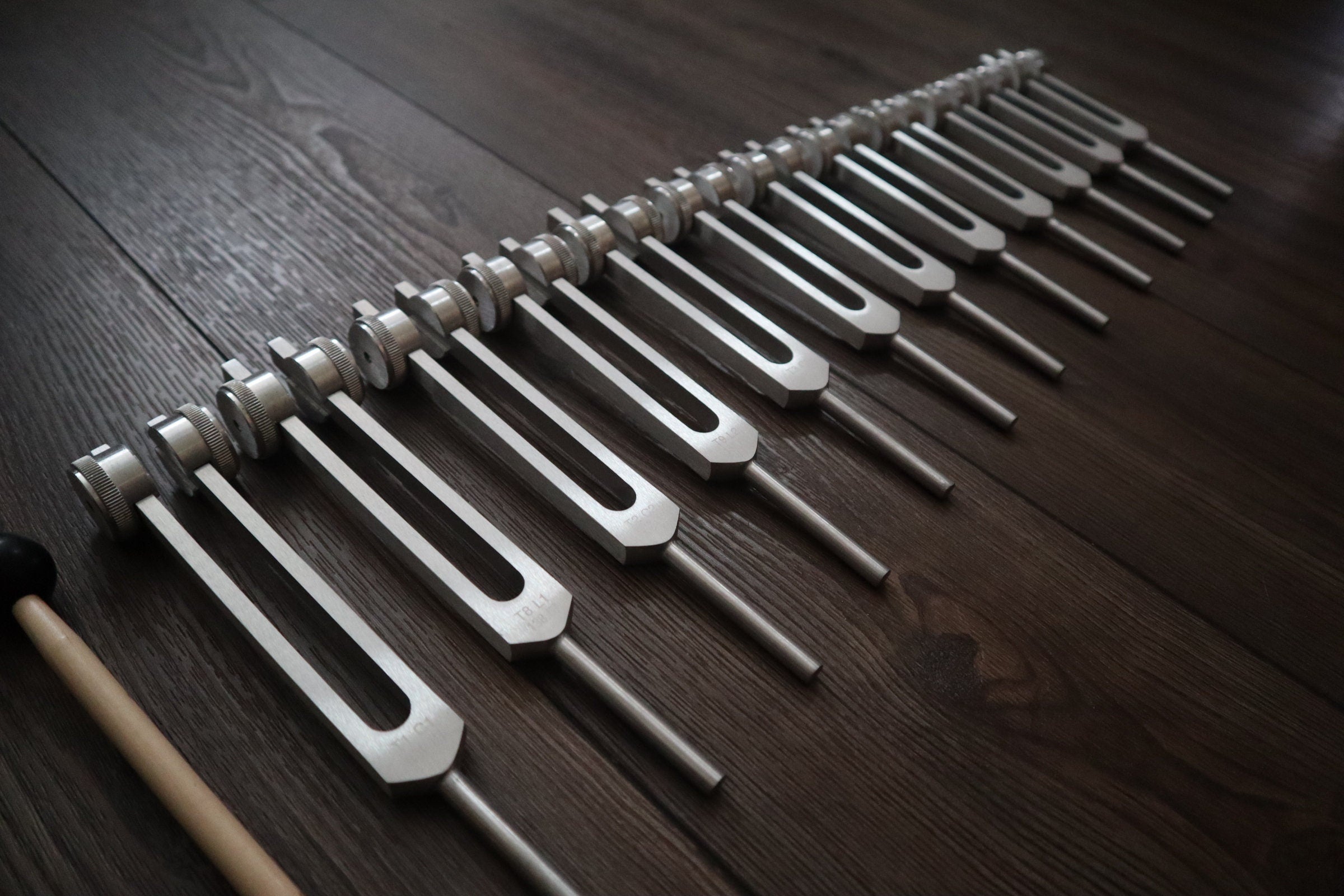 12-Piece Song of the Spine Tuning Fork Set - Professionally Tuned .25 for Biofield, Organs, Tissue & Cells - Sound Vibration Therapy Tools with Storage Bag - Perfect for Energy Healing, Sound Baths & Chakra Balancing