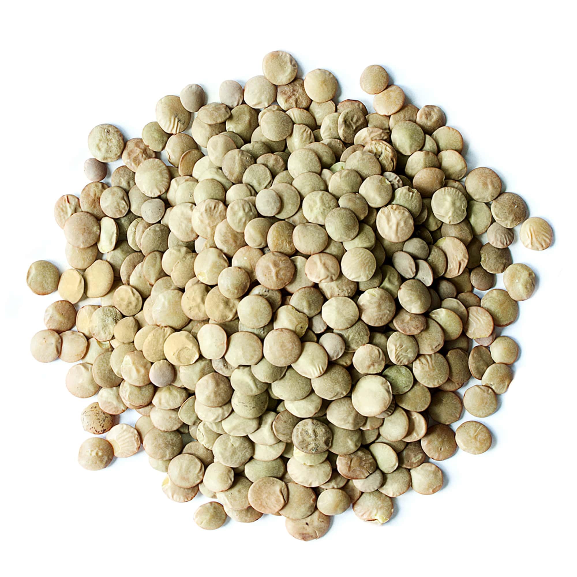 Food to Live - Organic Whole Green Lentils, 25 lbs | Raw Dried Lentils for Sprouting | Kosher & Vegan Certified | High in Fiber & Protein | No Soaking Required | Perfect for Soups, Salads & Healthy Meal Prep