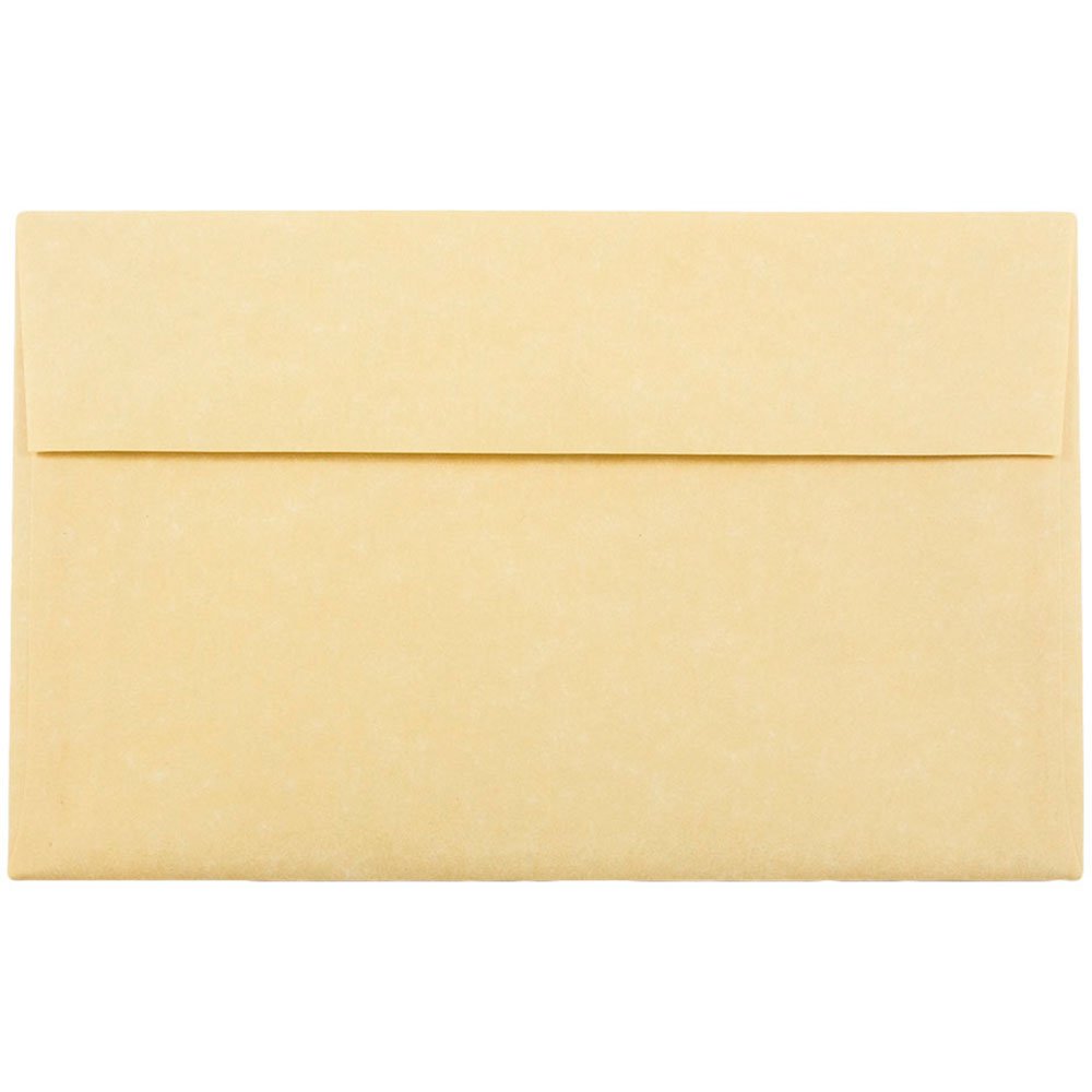 JAM PAPER A10 Parchment Invitation Envelopes 6 x 9.5 Inches - 500 Antique Gold Recycled Envelopes per Box - Perfect for Wedding Invitations, Greeting Cards & Business Correspondence