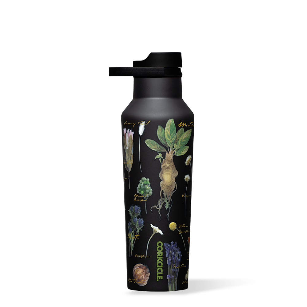 Harry Potter Stainless Steel Water Bottle - 20oz Insulated Sports Canteen for Hiking, Gym & School - Official Hogwarts House Themed Drinkware