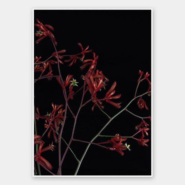 Bounce Unframed Art Print - Vibrant Wall Decor for Living Room, Bedroom & Office - Perfect for Modern Home & Office Spaces