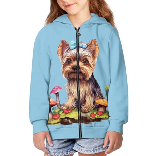 Yorkshire Terrier 2