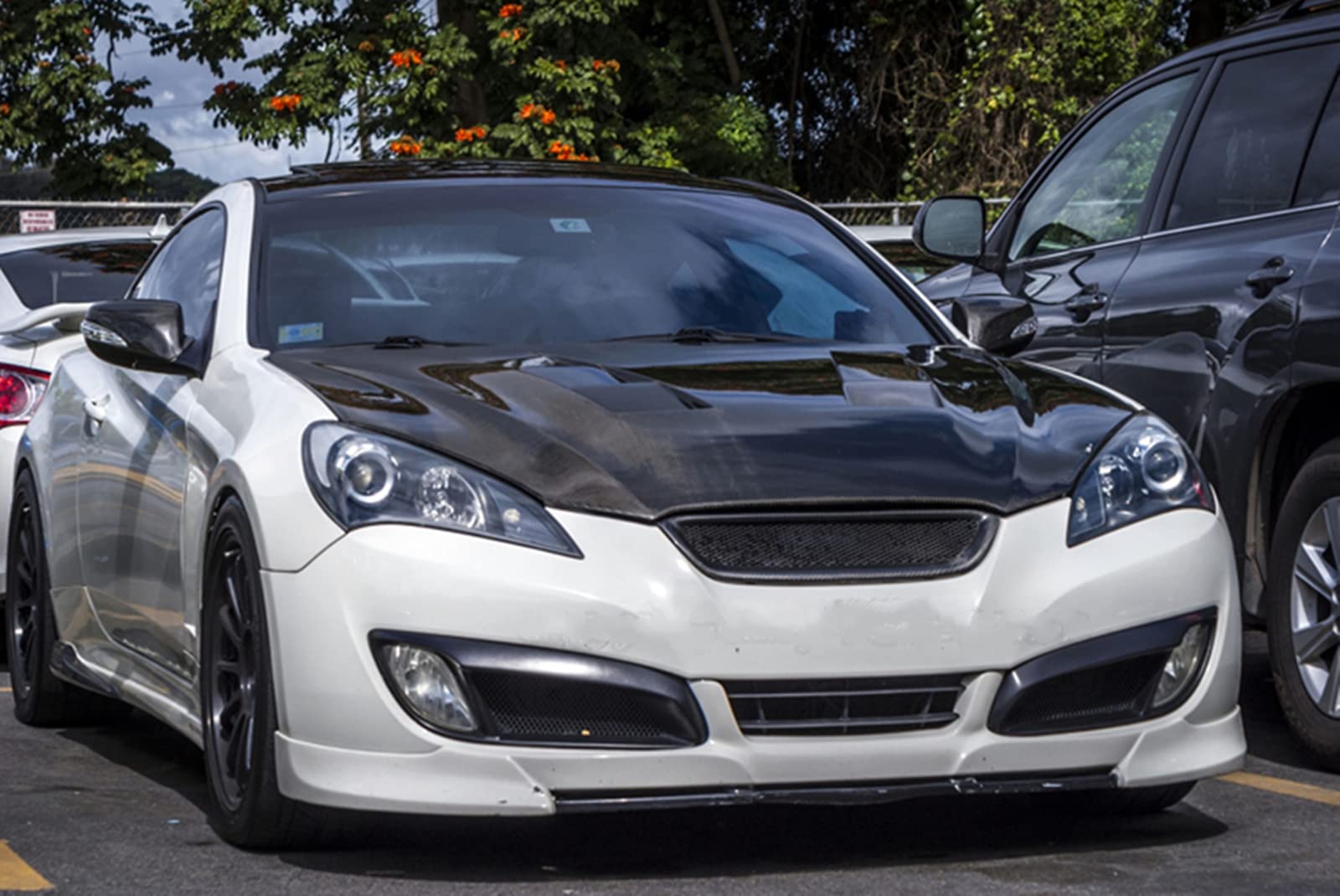 Carbon Fiber Front Bumper Mesh Grille for Hyundai Genesis Coupe 2008-2012 - Durable & Stylish Upgrade for Enhanced Airflow & Sporty Look - Perfect for Car Enthusiasts & Performance Modifications